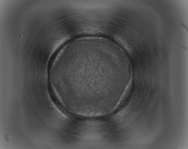 X0000091530630200709071041