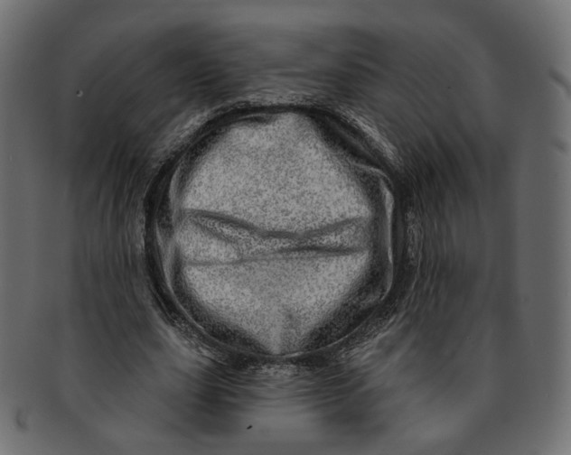 X0000091530631200709071041