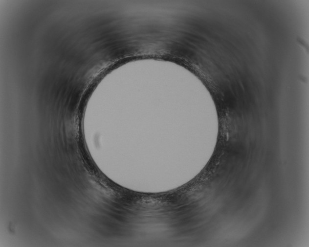 X0000091530632200709071041