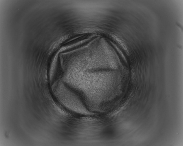 X0000091530633200709071041