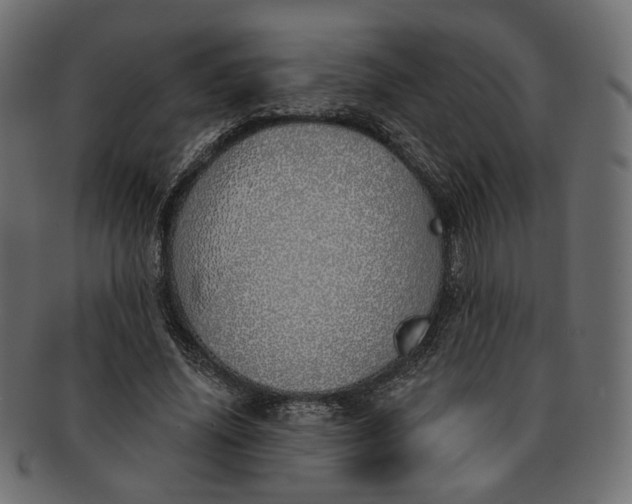 X0000091530636200709071041