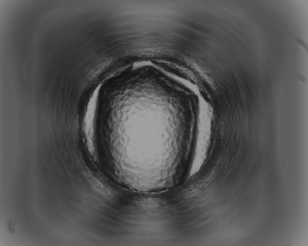 X0000091530637200709071041