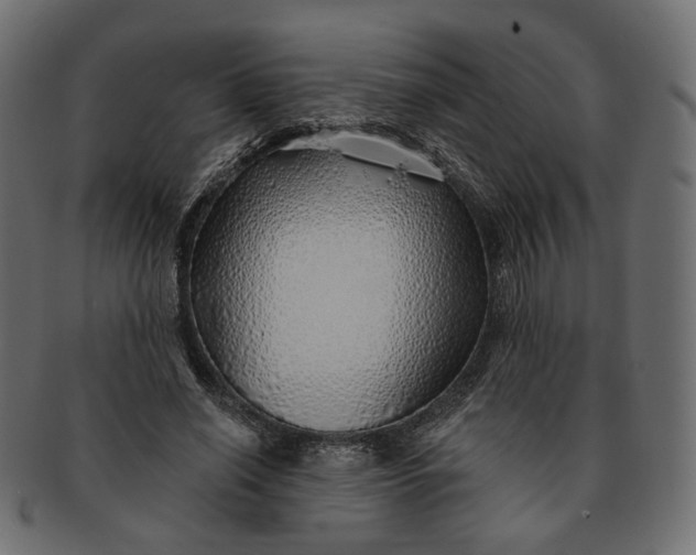 X0000091530638200709071041