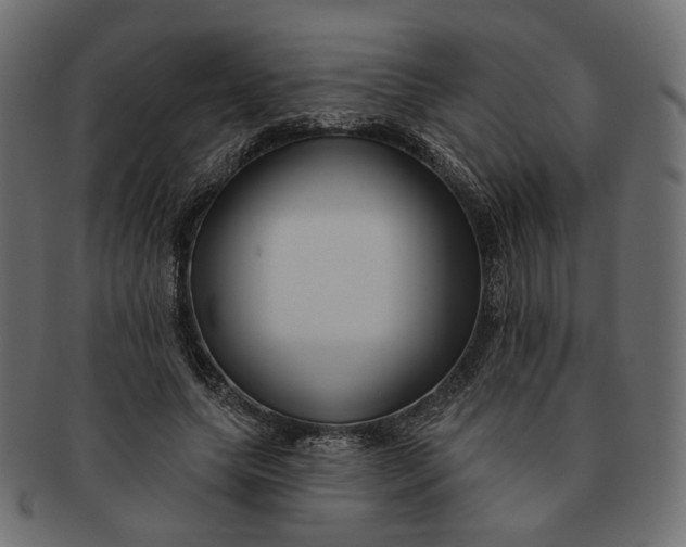 X0000091530639200709071041