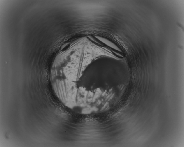 X0000091530641200709071041