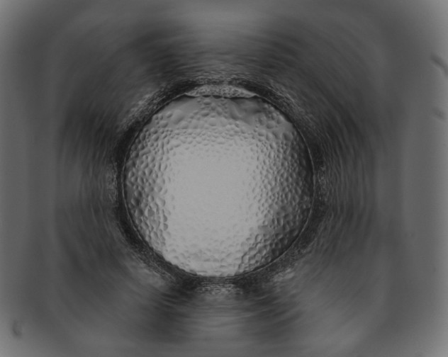 X0000091530642200709071041