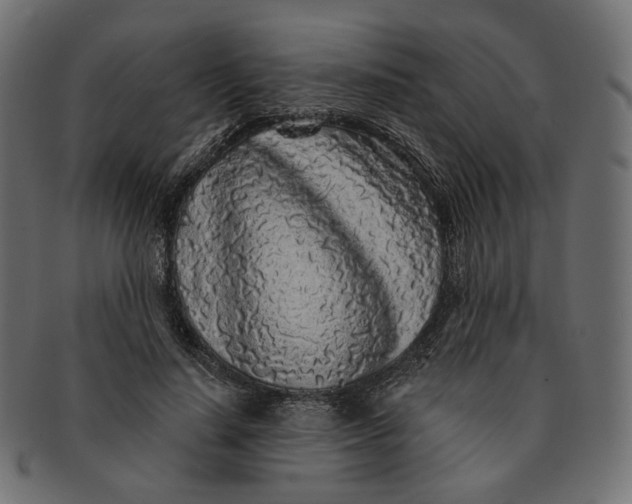 X0000091530644200709071041