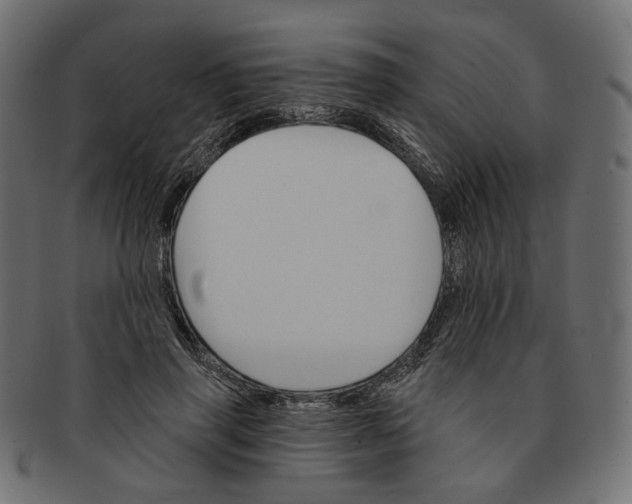 X0000091530645200709071041