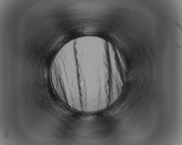 X0000091530646200709071041