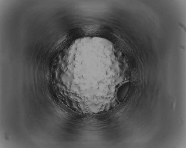 X0000091530648200709071041