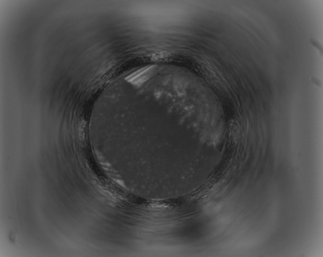 X0000091530650200709071041