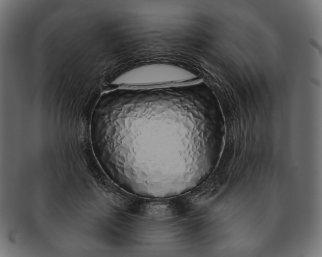 X0000091530651200709071041