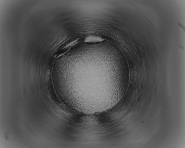 X0000091530652200709071041