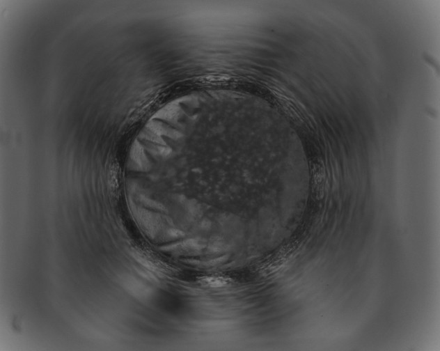 X0000091530654200709071041