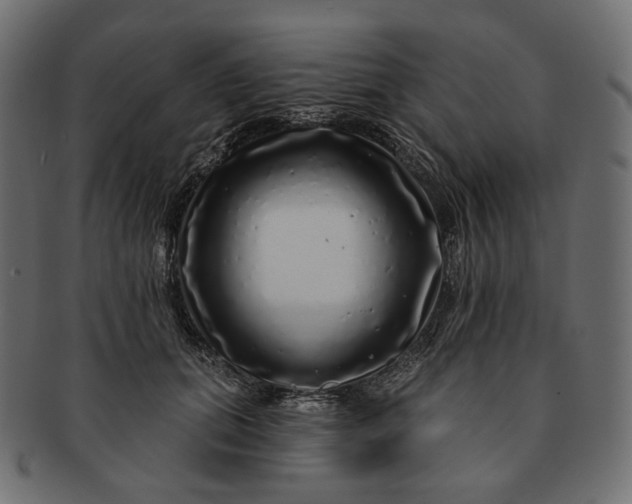 X0000091530655200709071041