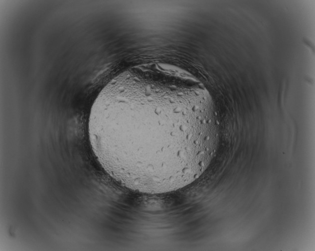 X0000091530658200709071041