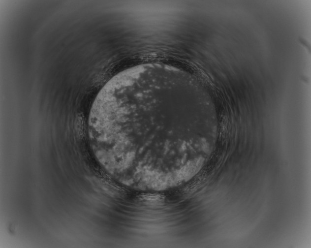 X0000091530659200709071041