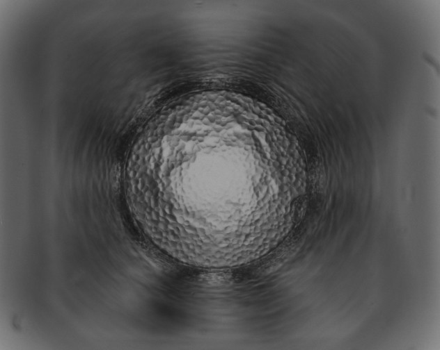 X0000091530660200709071042
