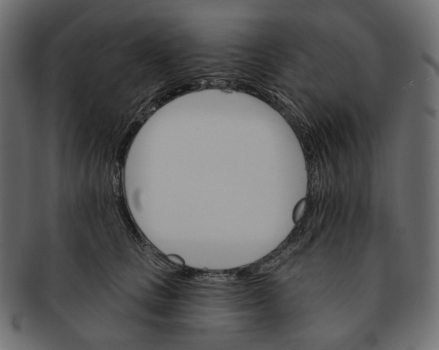 X0000091530661200709071042