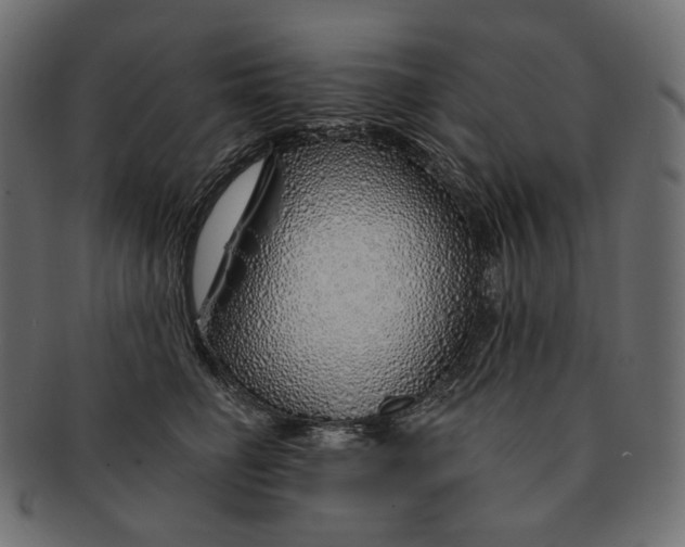 X0000091530662200709071042