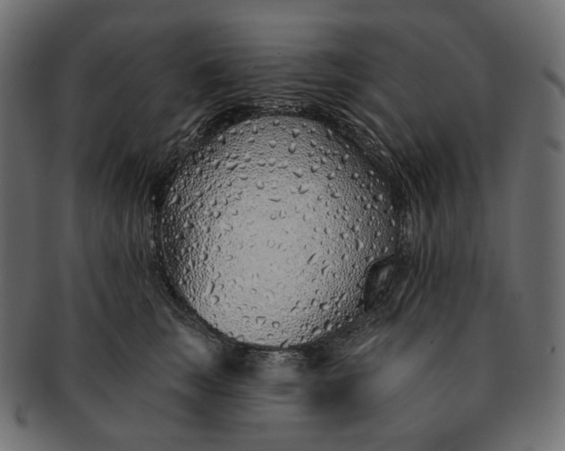 X0000091530663200709071042