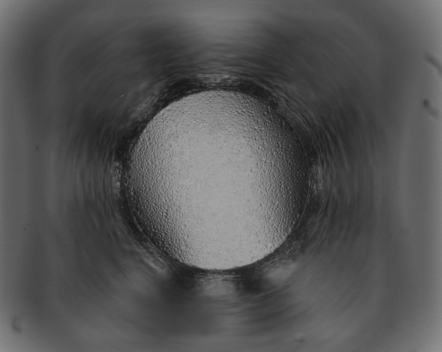 X0000091530664200709071042