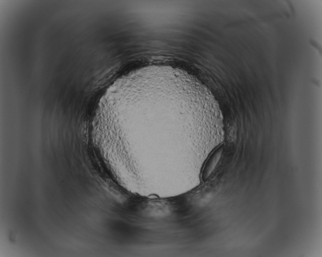 X0000091530666200709071042