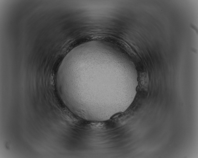 X0000091530667200709071042