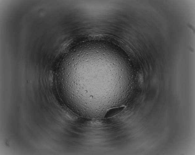 X0000091530668200709071042