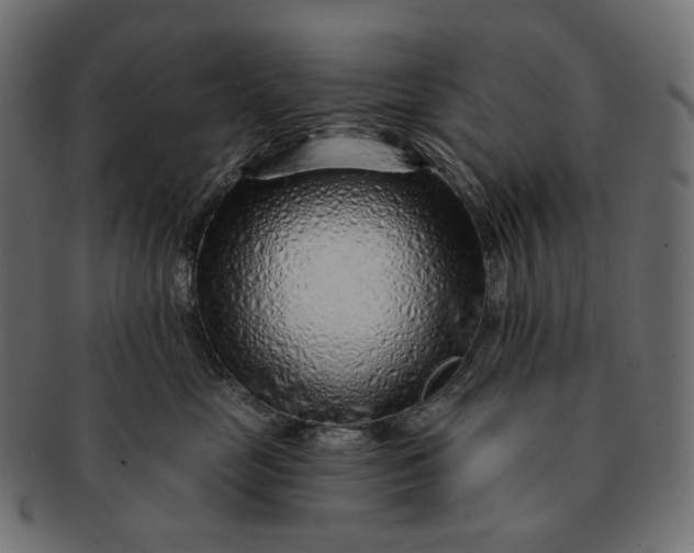 X0000091530669200709071042