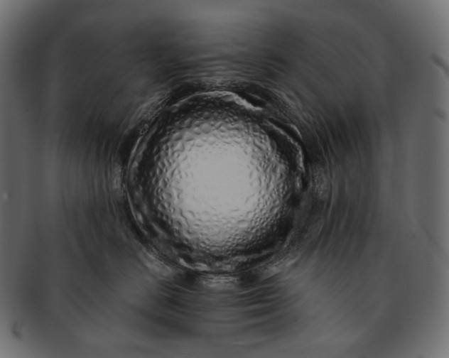 X0000091530670200709071042