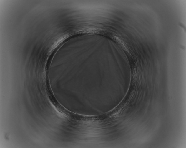X0000091530674200709071041