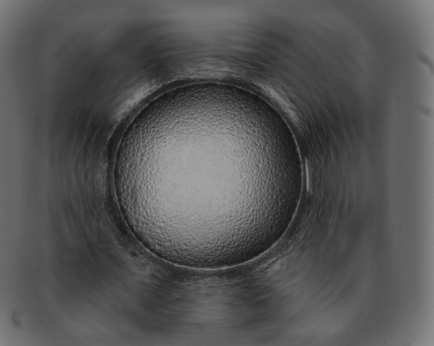 X0000091530675200709071041