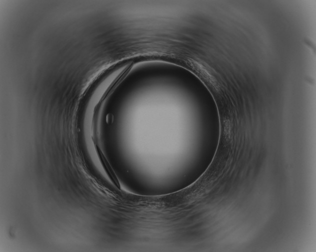 X0000091530676200709071041