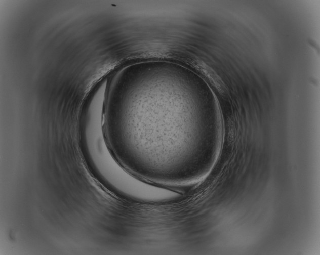 X0000091530677200709071041