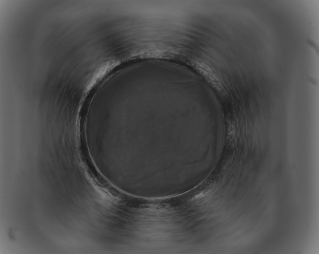 X0000091530678200709071041