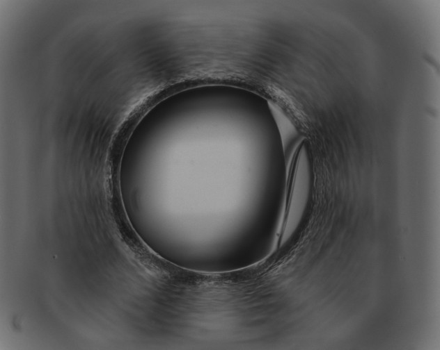 X0000091530680200709071041