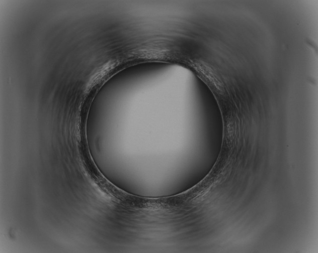 X0000091530682200709071041