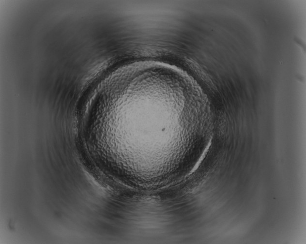 X0000091530683200709071041