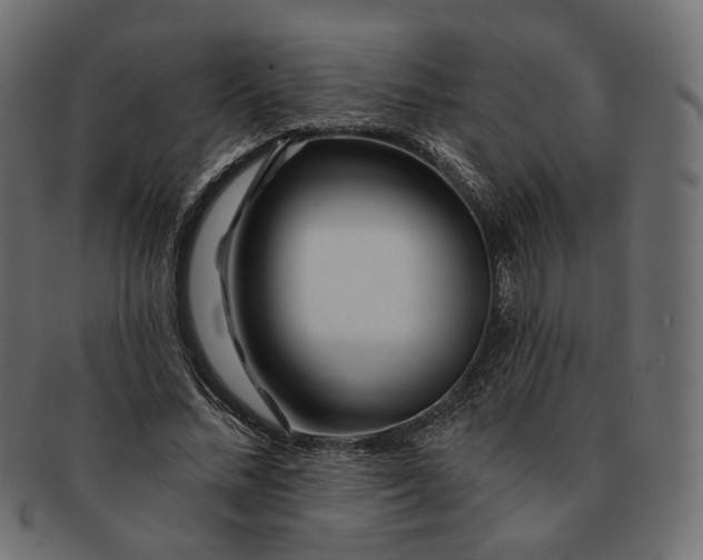 X0000091530684200709071041
