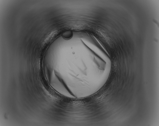 X0000091530686200709071041