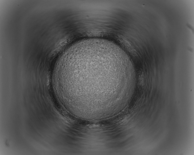 X0000091530687200709071041