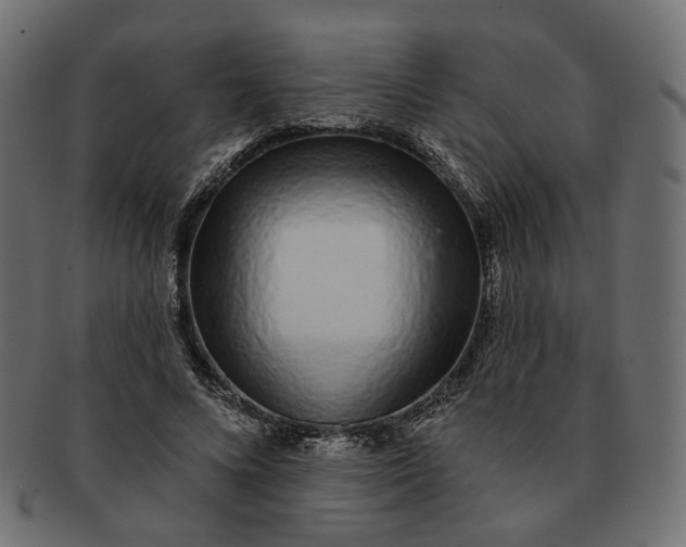 X0000091530688200709071041