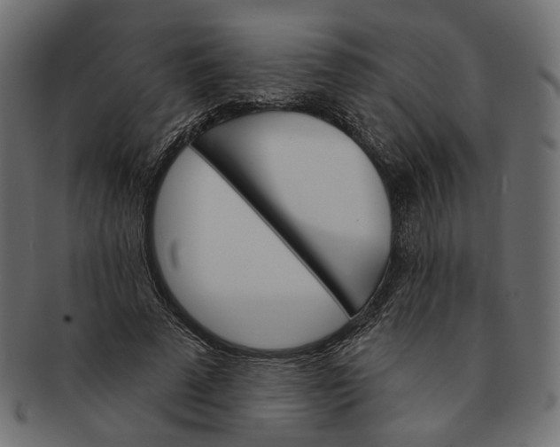 X0000091530689200709071041