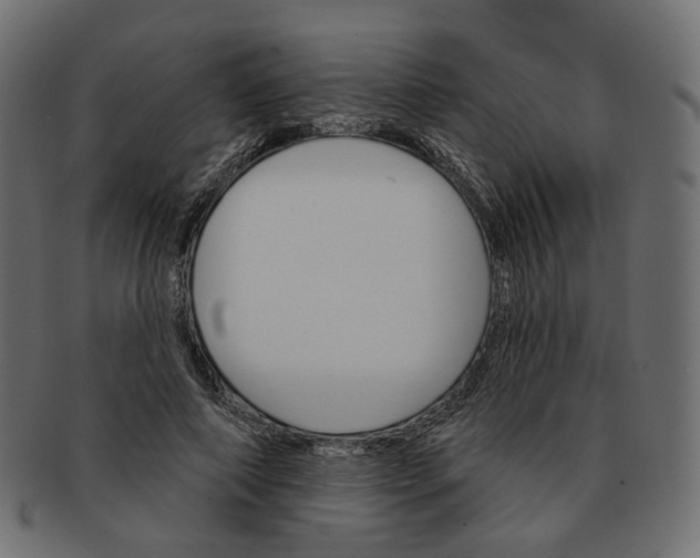 X0000091530690200709071041