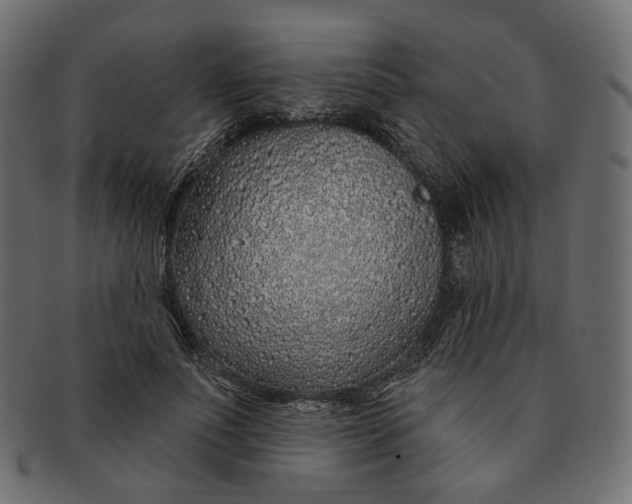 X0000091530691200709071041