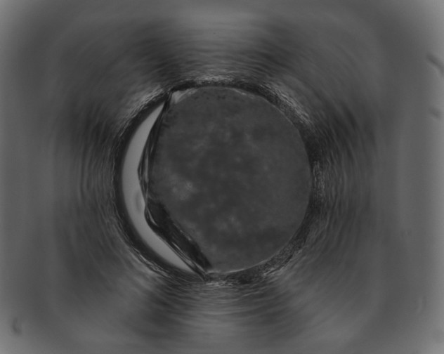 X0000091530692200709071041
