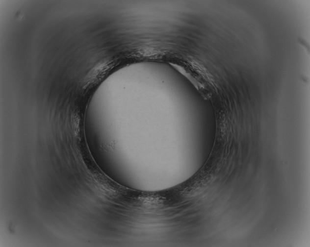 X0000091530693200709071041