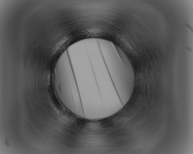 X0000091530694200709071041