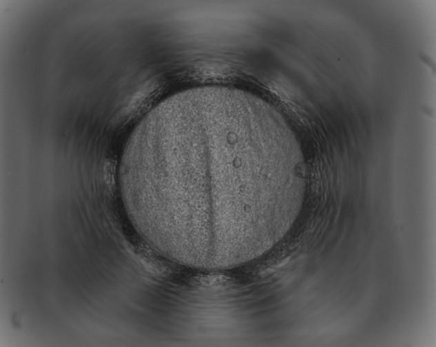 X0000091530695200709071041